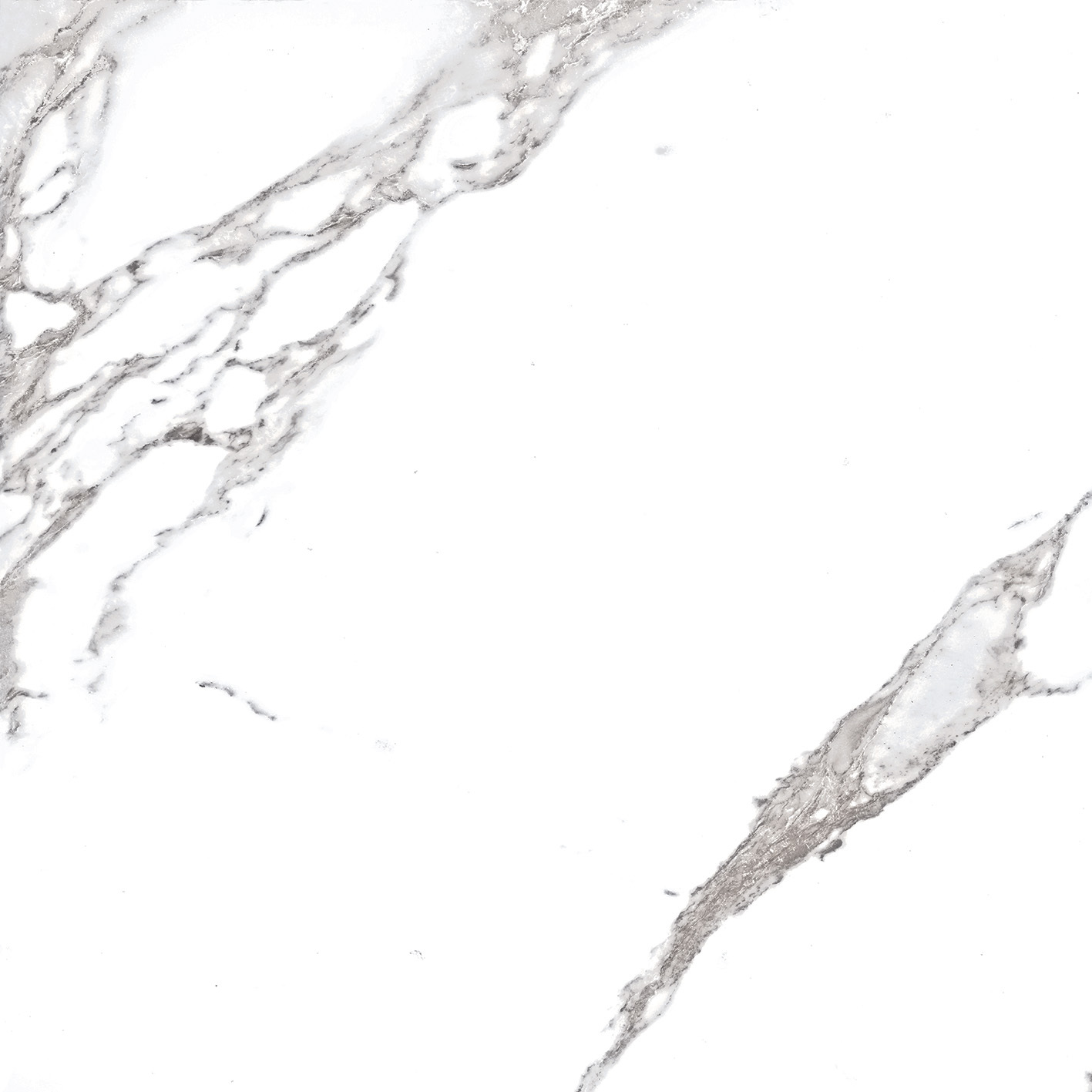 TORANO CALACATTA 600X600mm GLOSSY PORCELAIN TILES