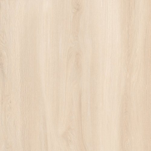 HARD WOOD CREMA 600X600mm MATT PORCELAIN TILES