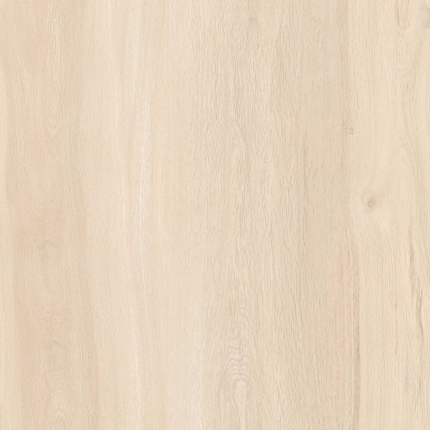 HARD WOOD CREMA 600X600mm MATT PORCELAIN TILES