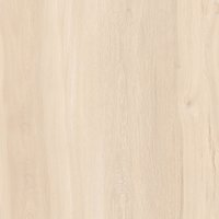 HARD WOOD CREMA 600X600mm MATT PORCELAIN TILES