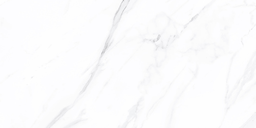 21001 GLOSSY CERAMIC WALL TILES 300x600mm
