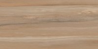 21010 GLOSSY CERAMIC WALL TILES 300X600mm