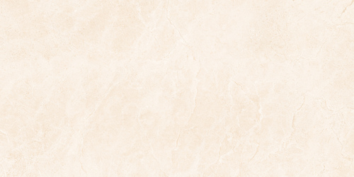 21012 GLOSSY CERAMIC WALL TILES 300x600mm
