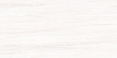 21013 GLOSSY CERAMIC WALL TILES 300X600mm
