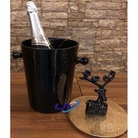 Designer Ice Bucket/Wine Chillers