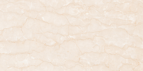21020 GLOSSY CERAMIC WALL TILES 300X600MM