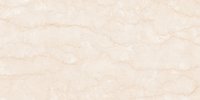 21020 GLOSSY CERAMIC WALL TILES 300X600MM