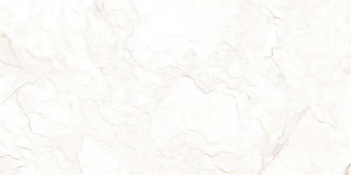21026 GLOSSY CERAMIC WALL TILES 300X600mm