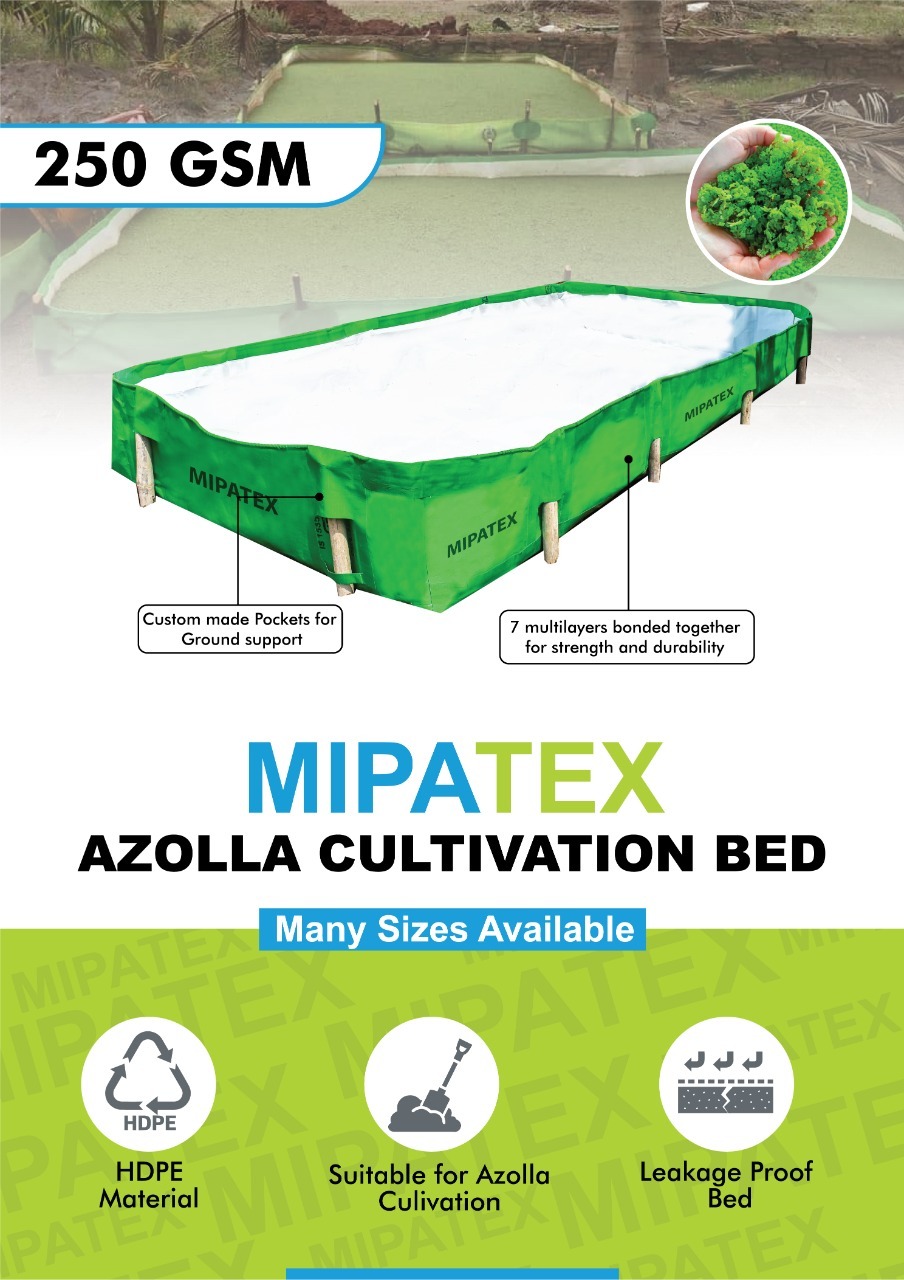 HDPE Azolla Bed