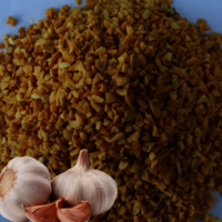 Garlic desidratado Minced
