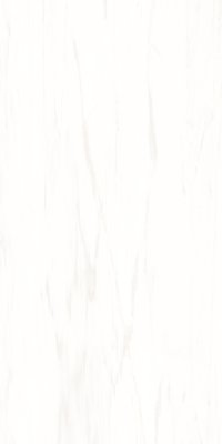 CLASSIC WHITE 900X1800mm GLOSSY and MATT PORCELAIN TILES