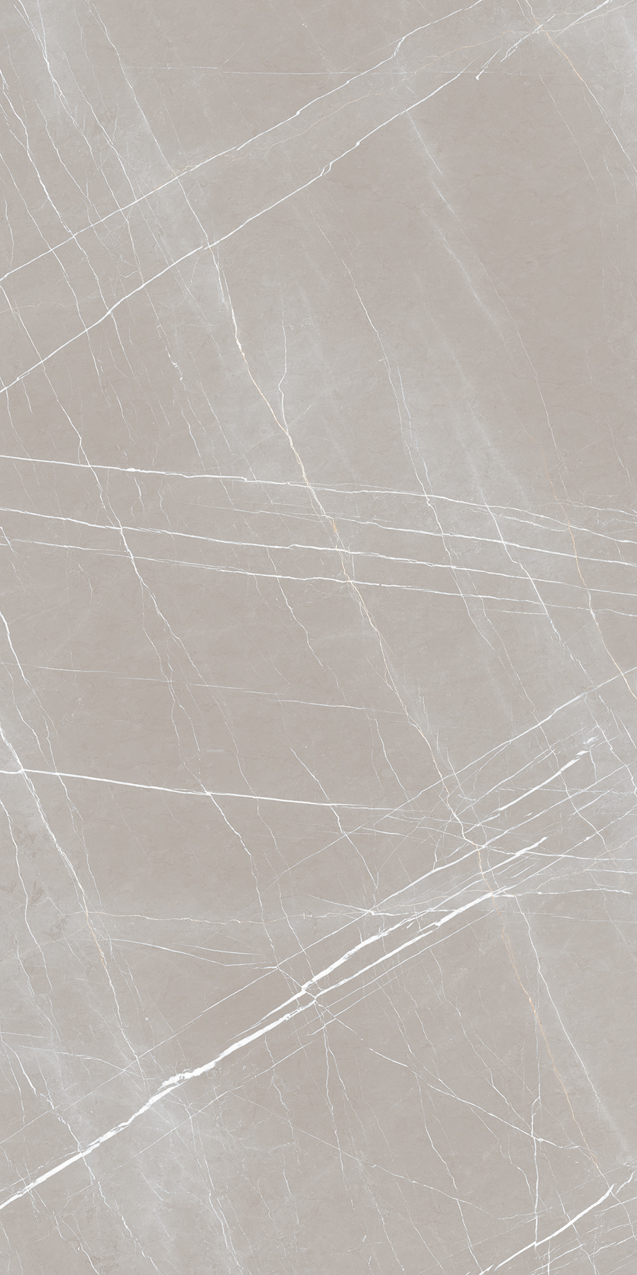 FRENCH BONE 900X1800mm GLOSSY and MATT PORCELAIN TILES