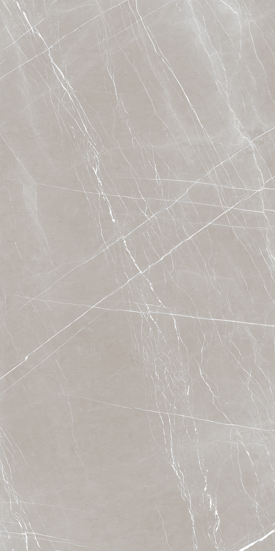 FRENCH BONE 900X1800mm GLOSSY and MATT PORCELAIN TILES