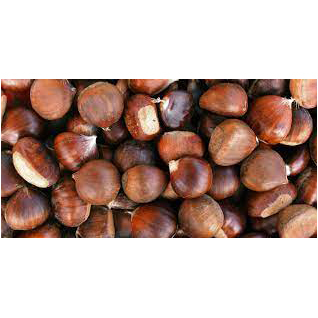 Chest Nut