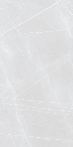 C3 FRENCH SILVER 900X1800mm GLOSSY and MATT PORCELAIN TILES