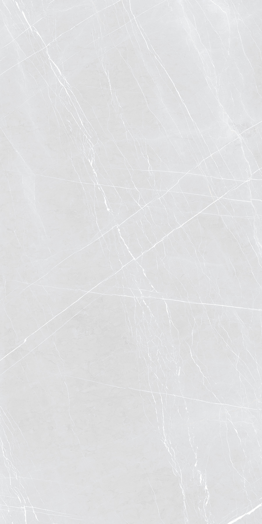 C3 FRENCH SILVER 900X1800mm GLOSSY and MATT PORCELAIN TILES