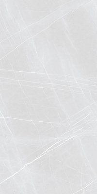 C3 FRENCH SILVER 900X1800mm GLOSSY and MATT PORCELAIN TILES