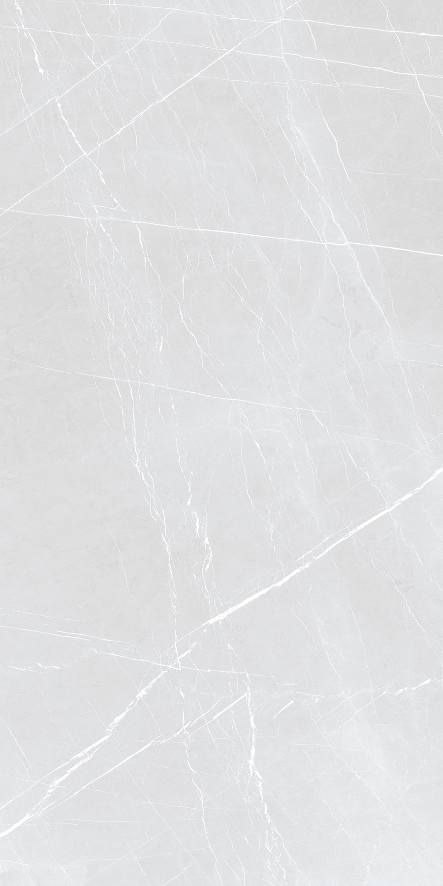 C3 FRENCH SILVER 900X1800mm GLOSSY and MATT PORCELAIN TILES
