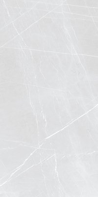 C3 FRENCH SILVER 900X1800mm GLOSSY and MATT PORCELAIN TILES
