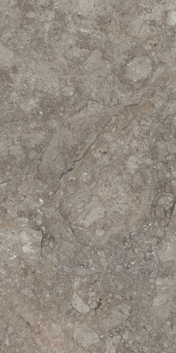 GREY WILLIAM 900X1800mm GLOSSY and MATT PORCELAIN TILES