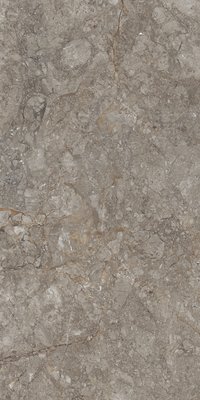 GREY WILLIAM 900X1800mm GLOSSY and MATT PORCELAIN TILES