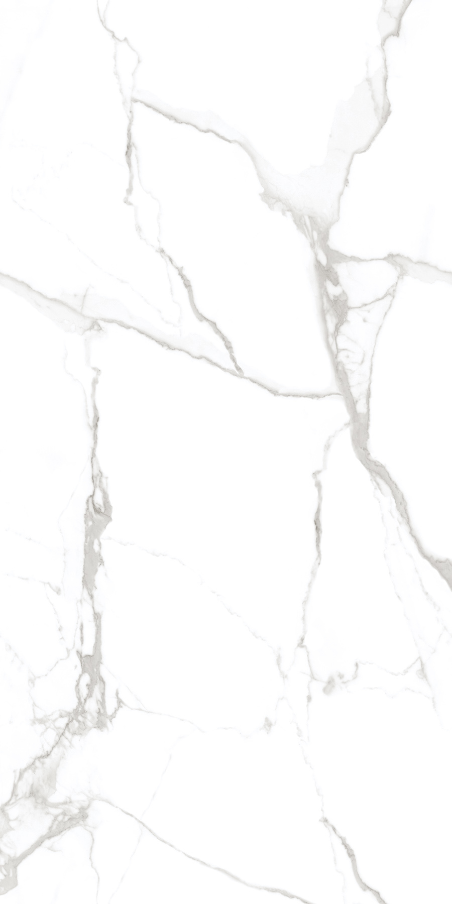 SATUARIO FANTASTICO 900X1800mm GLOSSY and MATT PORCELAIN TILES