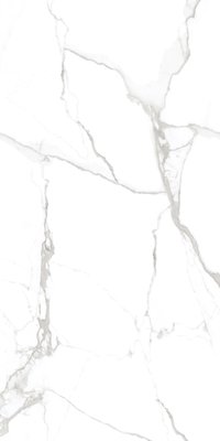SATUARIO FANTASTICO 900X1800mm GLOSSY and MATT PORCELAIN TILES