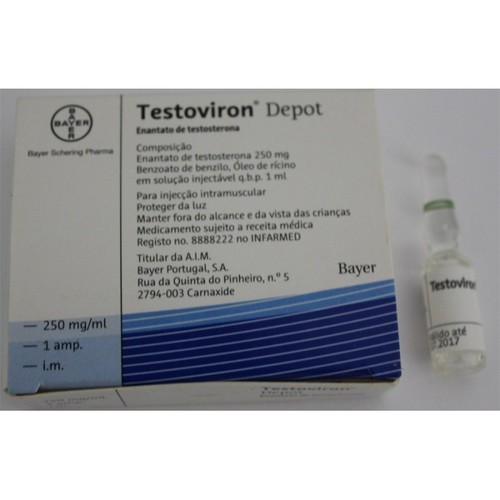 Bayer Testoviron 250 Mg Injection
