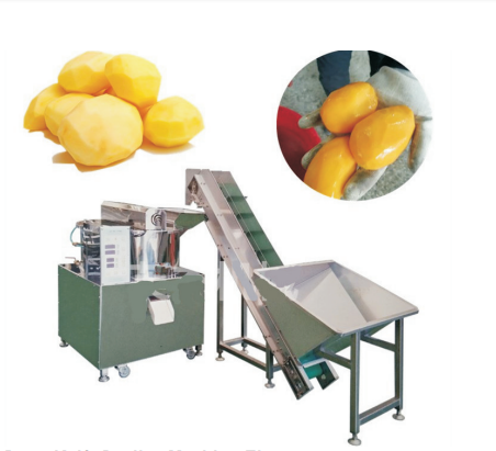 Lqjp-750 Factory Price Drum Knife Sweet Potato Yam Peeling Machine Elevator