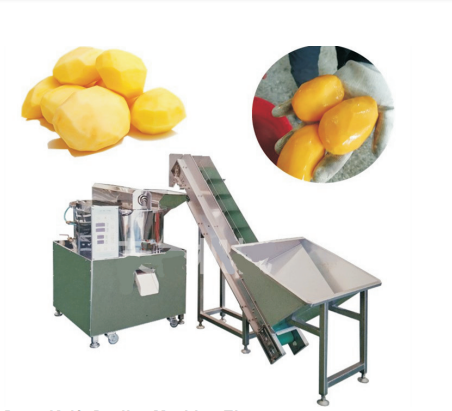 Lqjp-750 Wholesale Drum Knife Taro Water Chestnuts Pe