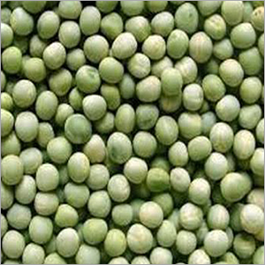 Green Peas By MILIND GROCERY
