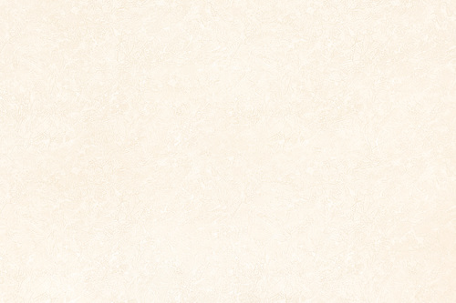 16041 MATT CERAMIC WALL TILES 300X450mm