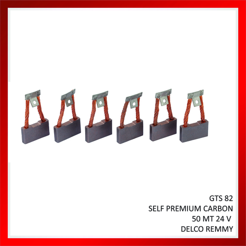 Self Carbon Brush