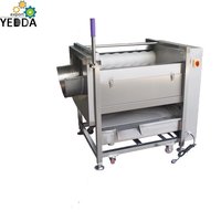 YDPL-600C Factory Price Brush Roller Cassava Taro Washing Peeling Machine Ginger Peeler