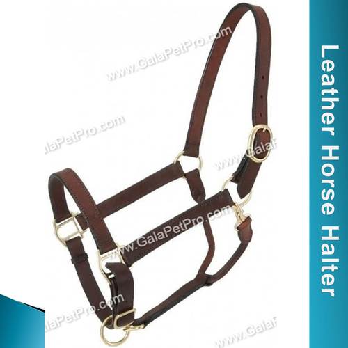 Black / Brown / Tan Leather Horse Halter