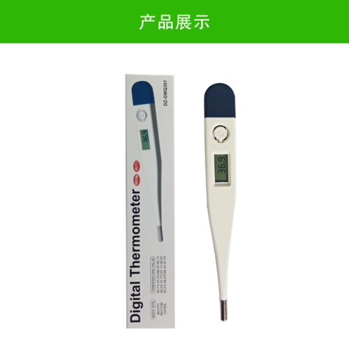 Electronic Thermometer