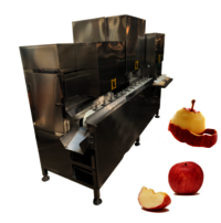 Ydt-50 Wholesale Automatic Stainless Steel Fruit Peeler Peach Apple Core Remover Peeling Machine