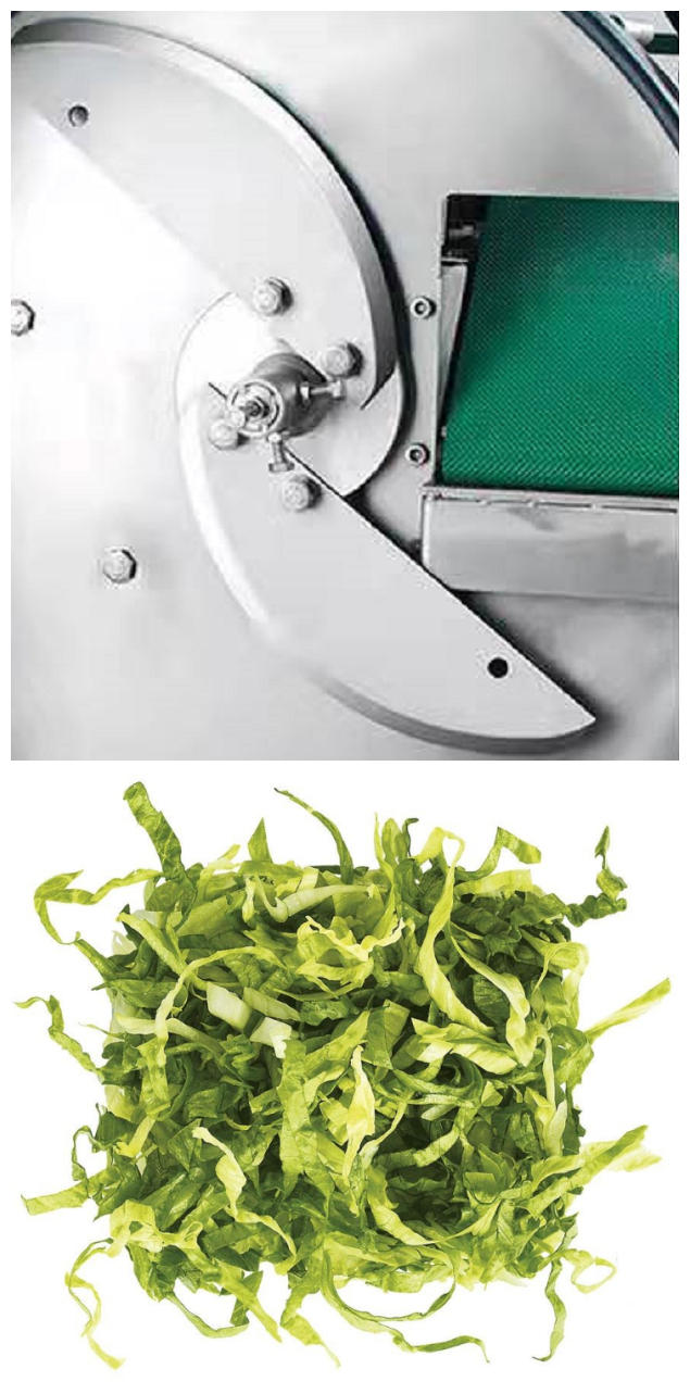 Yd-801 Wholesale Hotbed Chives Cutter Leek Cutting Machine Chinese Chives Chopper Vegetable And Fruit Slicer