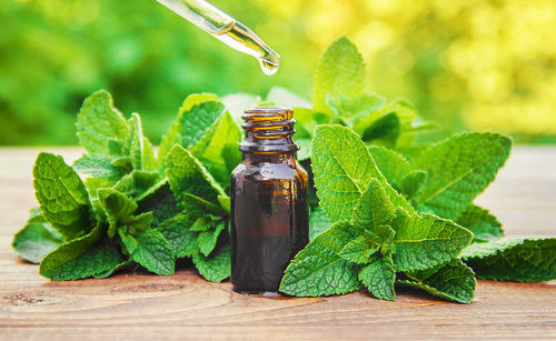 Spearmint  Oil