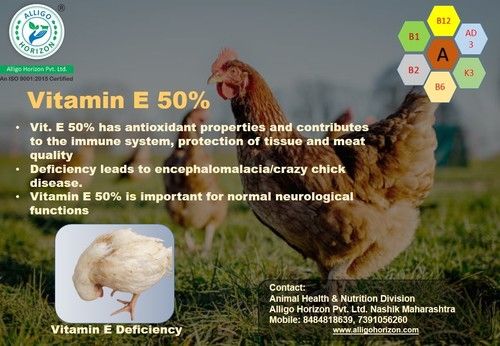 Animal Health & Nutrition