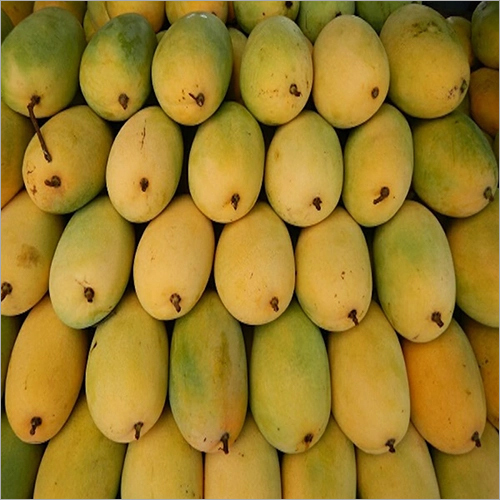 Fresh Kesar Mango