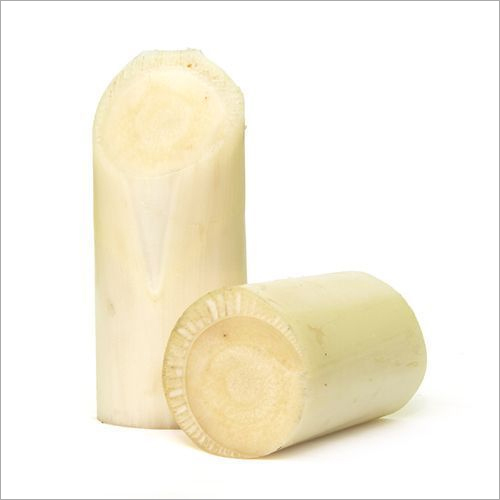 Fresh Banana Stem