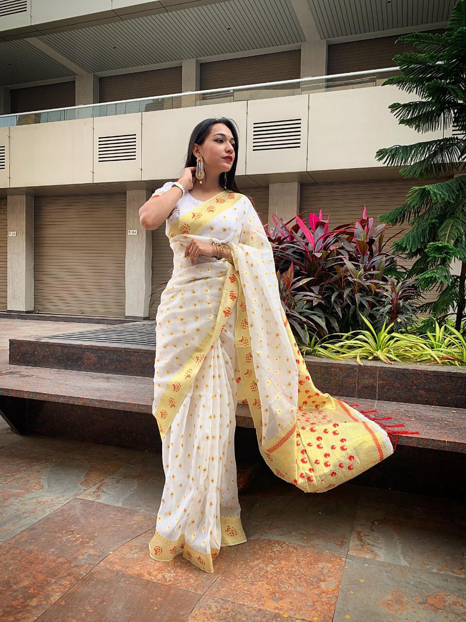 Fancy Pure Organza Saree