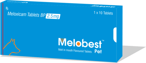 Meloxicam Tablets