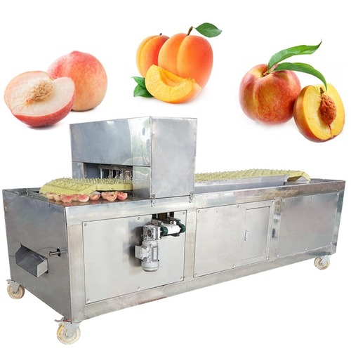Yl-5 Factory Price Peach Greengage Haw Kernel Removing Machine/ Mango Remvoer Core Machine/ Prune Seed Pitting Machine