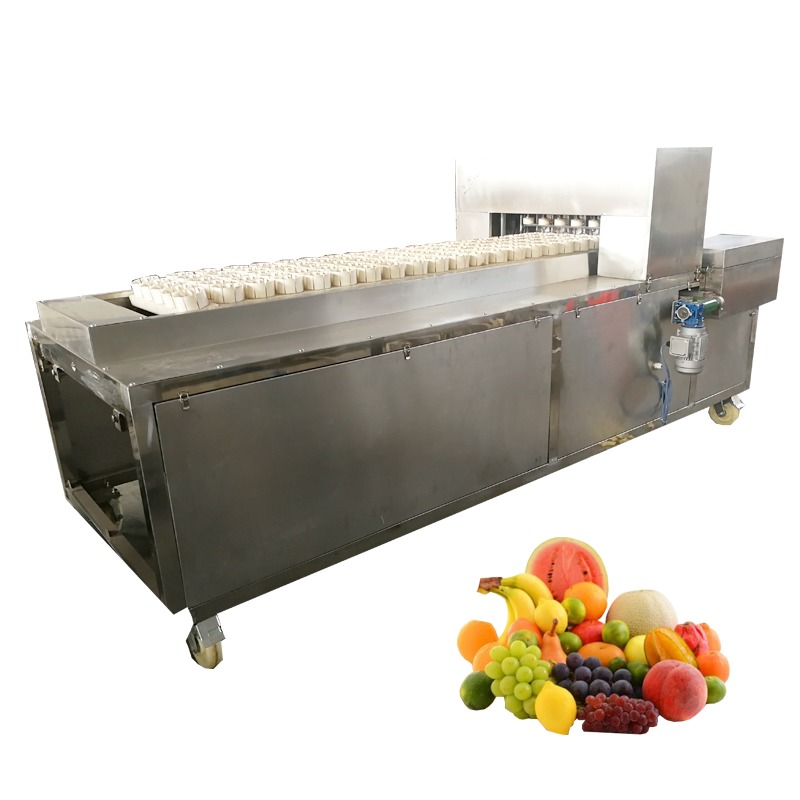Yl-6 Wholesale New Type Olive Plum Date Apple Pear Peach Seed Core Remover Separator Machine