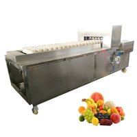 Yl-6 Wholesale New Type Olive Plum Date Apple Pear Peach Seed Core Remover Separator Machine