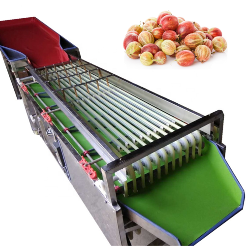 SL-500S Kiwi Berry Breadfruit Sorting Machine Fruit Star Apples Sorter Sizer Selecting Machine Tomato Date Grader Size Grading Machine