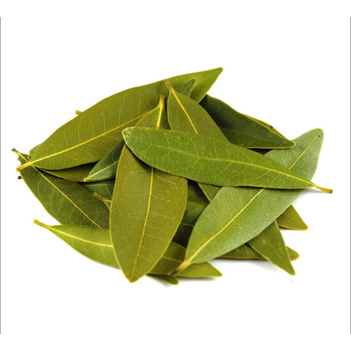 Bay Leaf