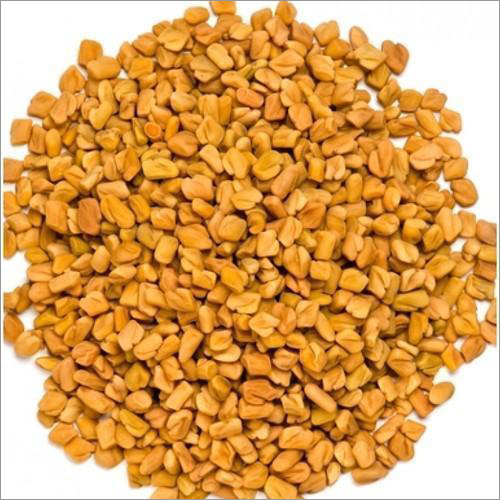 Dry Fenugreek